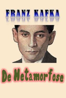 De metamorfose - Franz Kafka - Paperback (9789492228482)