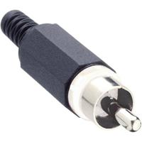 Lumberg XSTO 1-WH Cinch-connector Stekker, recht Aantal polen: 2 Wit 1 stuk(s)