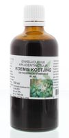 Orthosiphon stamineus / koemis koetjing tinctuur - thumbnail