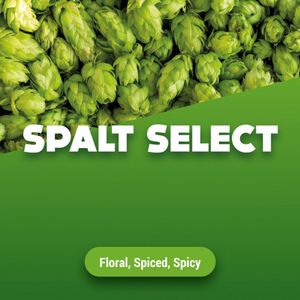 Hopbellen Spalt Select 1 kg