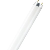 OSRAM TL-lamp Energielabel: G (A - G) G13 18 W Warmwit Buis (Ø x l) 26 mm x 604 mm 1 stuk(s)