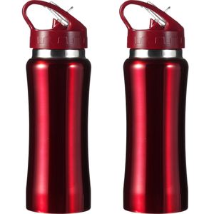 Set van 2x stuks luxe Drinkfles/waterfles 600 ml rood van RVS