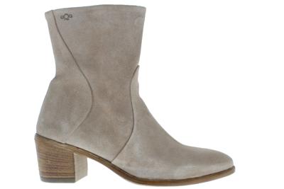 AQA A7750 conchiglia Beige 