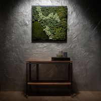 MOSS Collection: A Painting of Nature - 60 length & 60 width