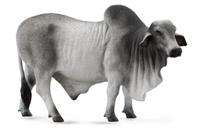 Collecta boerderijdieren: Brahmaan stier 14 cm grijs