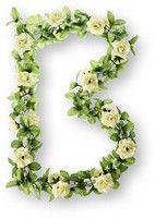 Basil Roses Flower Garland bloemenstreng wit - thumbnail