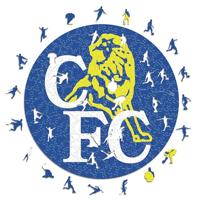 Iconic Puzzles Houten puzzel, uniseks, volwassenen, meerkleurig, M, 270 stuks