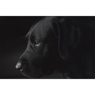 Wanddecoratie Faces 017 148x98cm