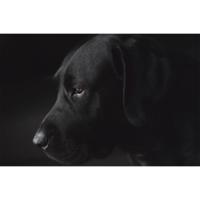 Wanddecoratie Faces 017 148x98cm