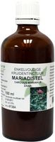 Natura Sanat Carduus marianus fructus / mariadistel tinctuur (100 ml)