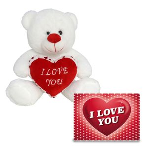 Pluche knuffel Valentijn I Love You beertje 20cm met hartjes wenskaart