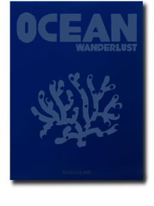 Assouline livre Ocean Wanderlust (Waterproof Edition) - Bleu