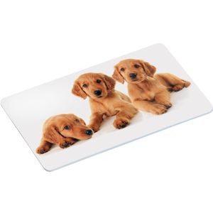 4x Ontbijtbordjes/ontbijtplankjes set puppy print 14 x 24 cm