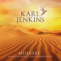 Miserere: Songs Of Mercy And Redemption - CD (0028948185801)