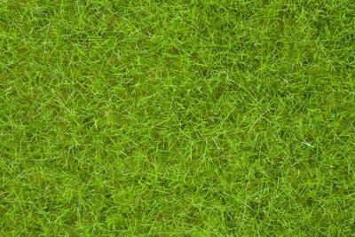 Noch 07092 Wildgras lichtgroen, 6 mm, 100 gram