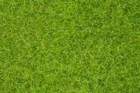 Noch 07092 Wildgras lichtgroen, 6 mm, 100 gram