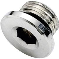 ICH 30154 Plug met O-ring G3/8