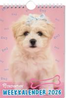 Rachael Hale Honden weekkalender - 2026