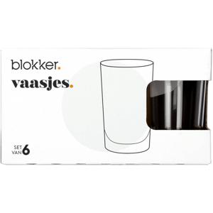 Blokker vaasjes s/6