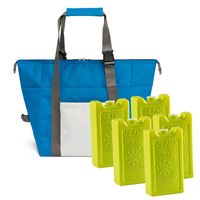 Grote koeltas blauw 38 x 33 x 18 cm met 5x stuks koelelementen 250 ML