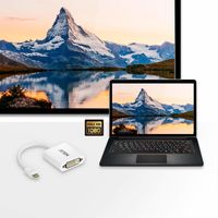 ATEN Mini DisplayPort naar DVI Adapter - thumbnail