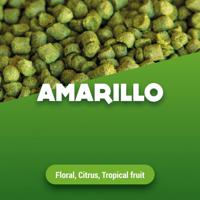 Hopkorrels Amarillo 2023 5 kg - thumbnail