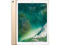 Forza Refurbished Apple iPad Pro 12.9 Inch (2017 versie) 64GB Goud Wifi Only - Zichtbaar gebruikt