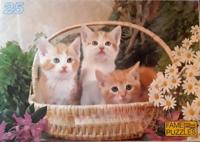 Jins legpuzzel Poesjes junior 25 stukjes