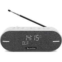 TechniSat DIGITRADIO BT 2 - draagbare premium bluetooth-luidspreker met DAB+ digitale radio (FM, klok, wektimer, waterafstotende behuizing, favorietengeheugen, AUX-in, accu, 20 watt) lichtgrijs