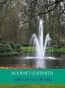 Door het leven heen - Judith Claessens Weening - ebook