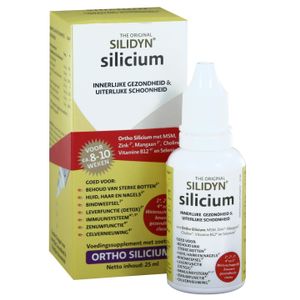 Silidyn Silicium