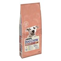 DOG CHOW Dog Sensitive Droogvoer met zalm voor volwassen honden, 14 kg