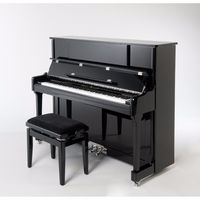 Sebastian Steinwald 123 PE zilver piano - thumbnail