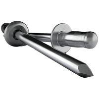 Gesipa 1433618 Blindklinknagel (Ø x l) 5 mm x 30 mm RVS Aluminium 100 stuk(s)