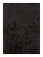 Zwart Vloerkleed Baileys 4224, 160x230