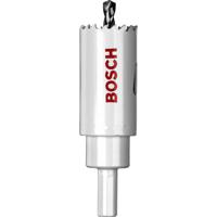 Bosch Accessories 2609255604 Gatenzaag 29 mm 1 stuk(s)