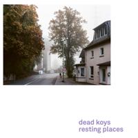 Resting Places - LP (4250137223537)