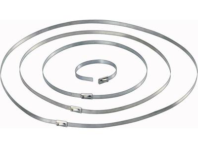 TRU COMPONENTS 1570838 Kabelbinder 201 mm 4.60 mm Zilver 10 stuk(s)