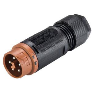 Wieland Electric 46.052.4550.4 Ronde connector Stekker, recht Totaal aantal polen: 5 Serie (ronde connectoren): RST® MINI 1 stuk(s)