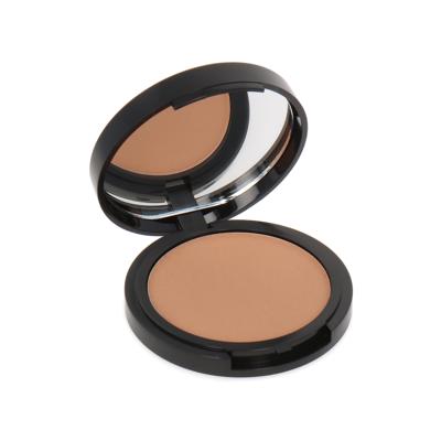 Sleek Crème To Powder Foundation - C2P10