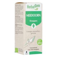 Herbalgem Meidoorn Bio 30ml