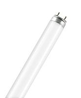 Osram TL-buizen, glas, 18 W, x 1 stuk (1 stuks)