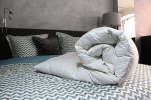 Loiva Silver Donzen dekbed - Winterdekbed 240 x 220 cm - Lits-jumeaux