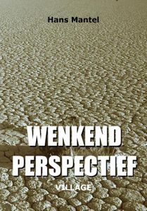 Wenkend perspectief - Hans Mantel - ebook