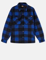 Dickies DK0A4XTA Portland Shirt