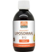 Mattisson Healthstyle Mattisson Healthstyle Aquasome Liposomaal Vitamine B12 1000mcg (250ml)
