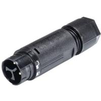 Wieland Electric 46.032.4553.1 Ronde connector Stekker, recht Totaal aantal polen: 2 + PE Serie (ronde connectoren): RST® MINI 1 stuk(s)