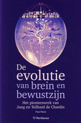 De evolutie van brein en bewustzijn - P. Revis - Paperback (9789079578092)