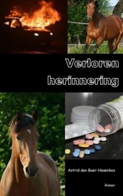 Astrid  den Boer Hasenbos Verloren herinnering