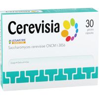 Cerevisia